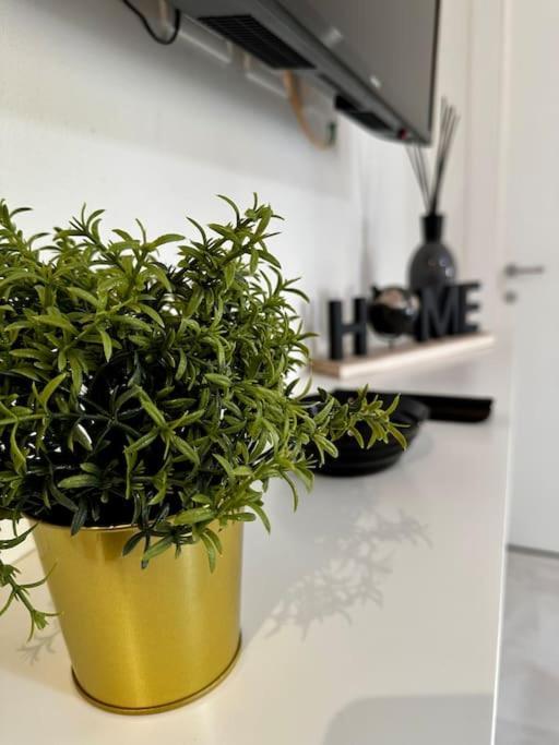 Apartamento Nencionihouse- Modern Comfort Close To Center Florencia